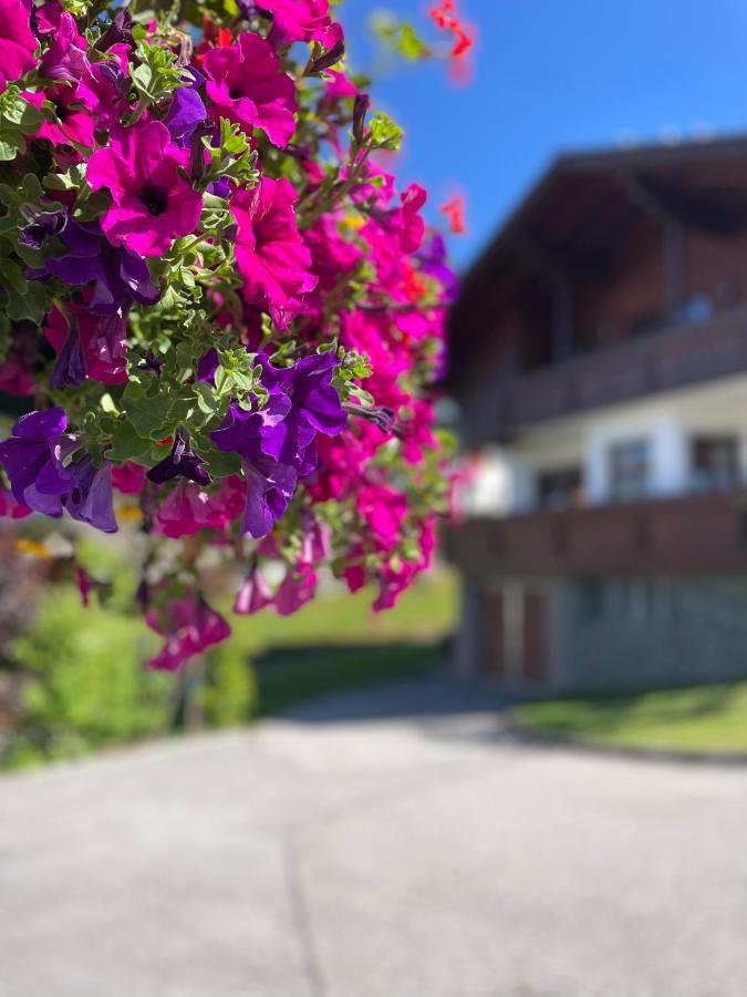 Luserblick Haus im Ennstal Exterior foto