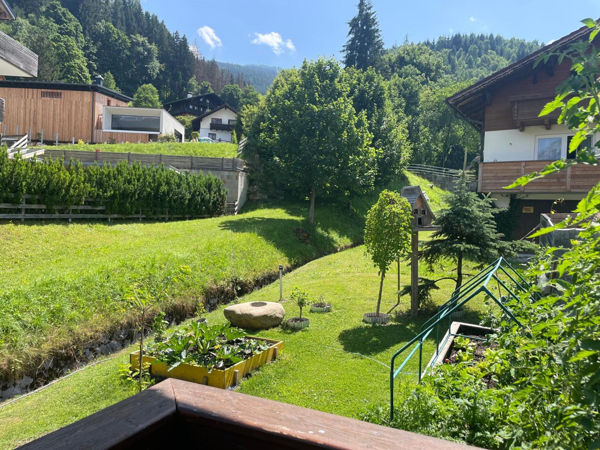 Luserblick Haus im Ennstal Exterior foto